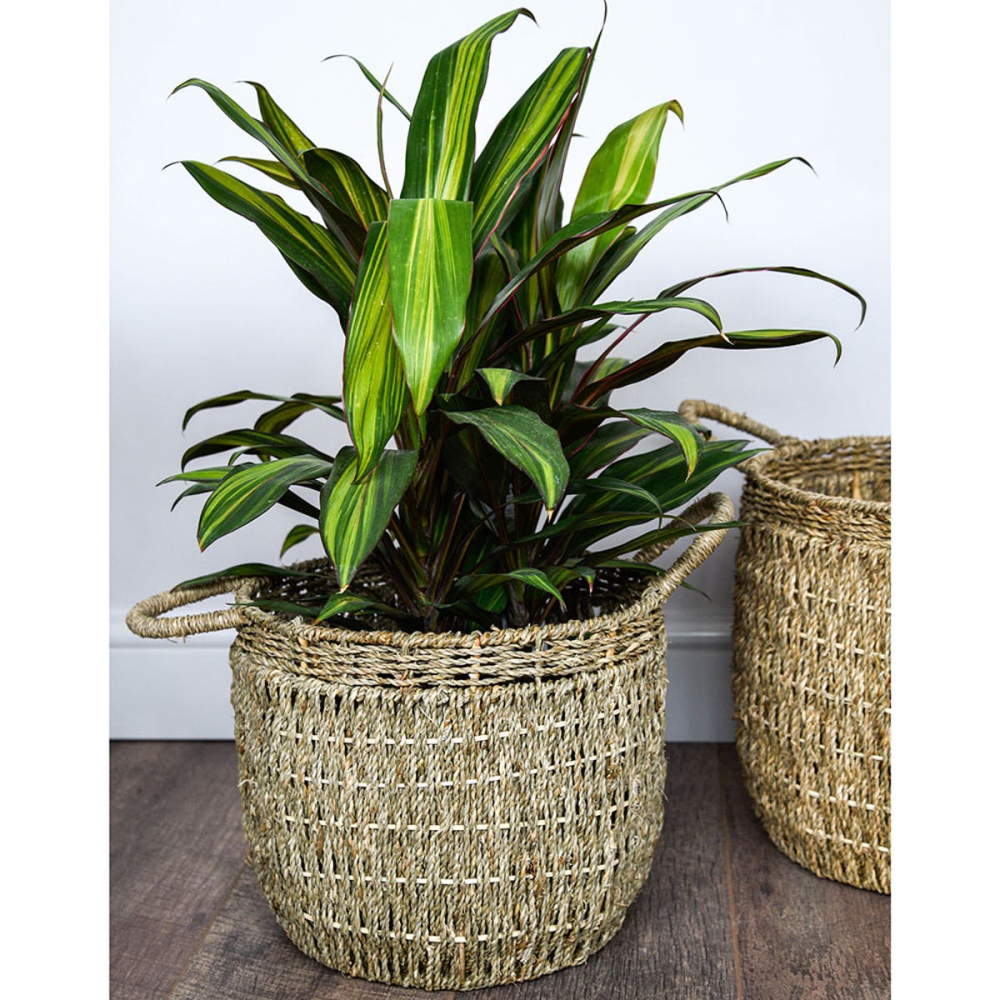 Seagrass Set of 2 lined baskets, H30 x D35cm, Natural-1