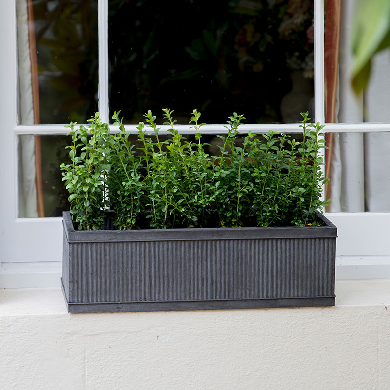 Vence Small window box, H18 x W60 x D20cm, Steel-0