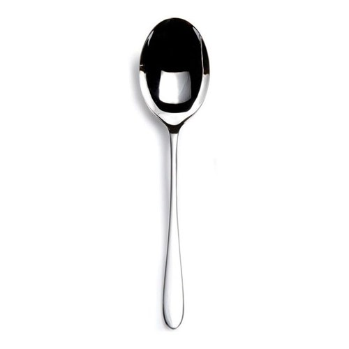 Pride Serving spoon, stainless steel-0