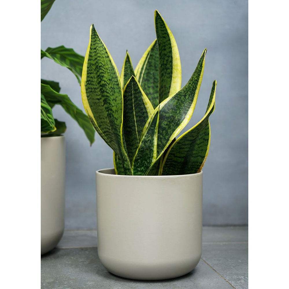 Lisbon Planter, H23.7 x W24 x D24cm, Light Grey-2