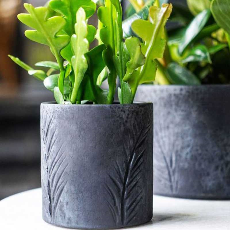 Kew Eclectic Orangery Handthrown Palm Planter, D10cm, Basalt-1