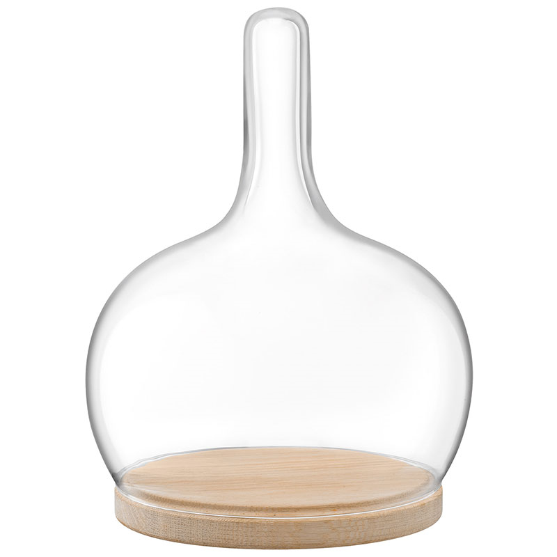 Cloche Glass Dome & Oak Base, D19.5cm, Clear-0