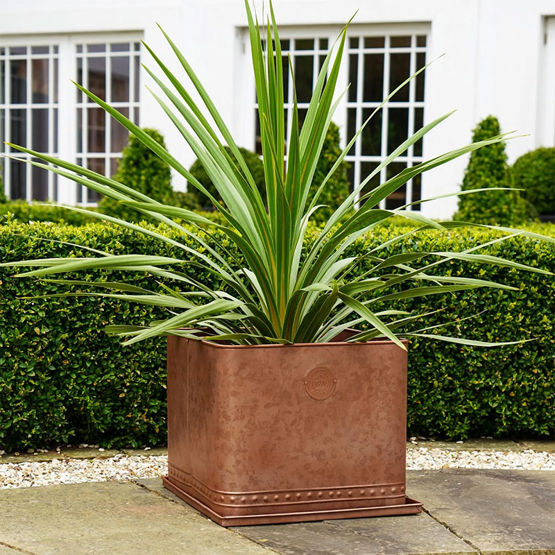 Kew Temperate House Regency Outdoor Planter, D38cm, Copper-2