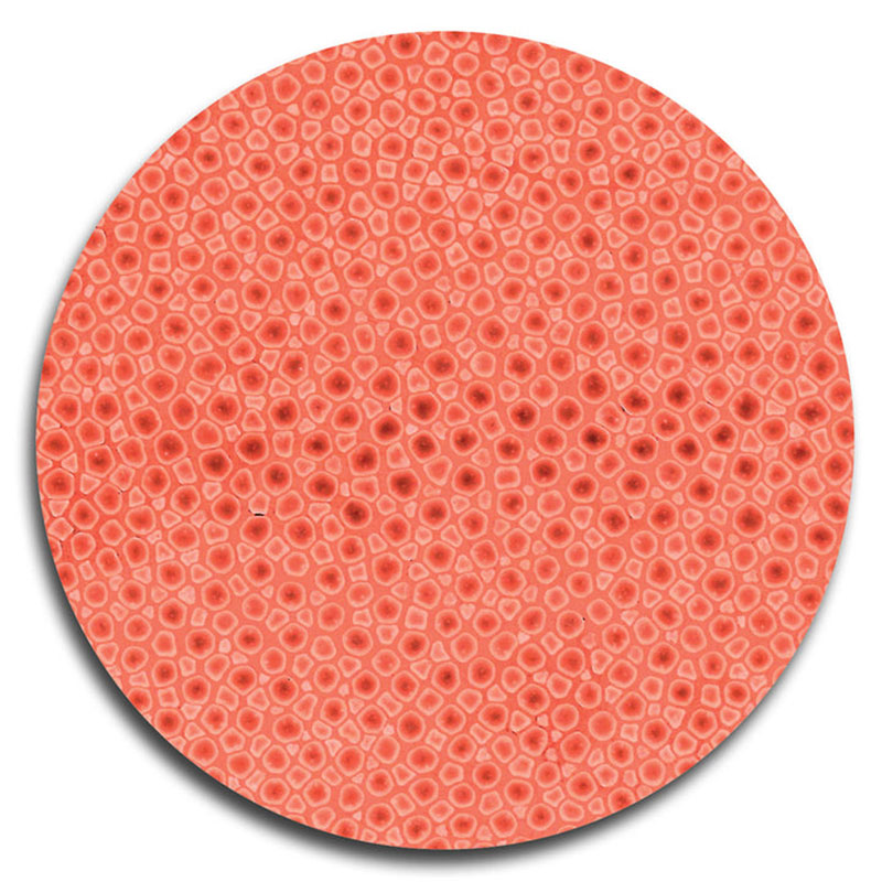 Shagreen Set of 4 Coasters, D10cm, Coral-1