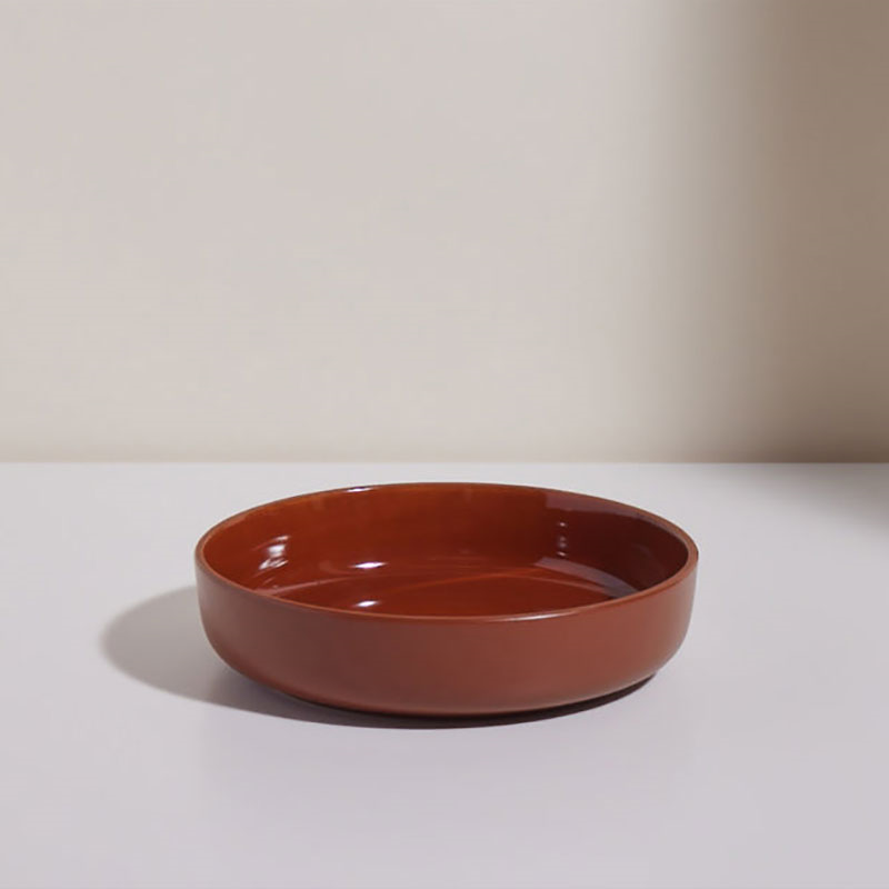 Set of 4 Dinner Bowls, 22cm, Terracotta-0