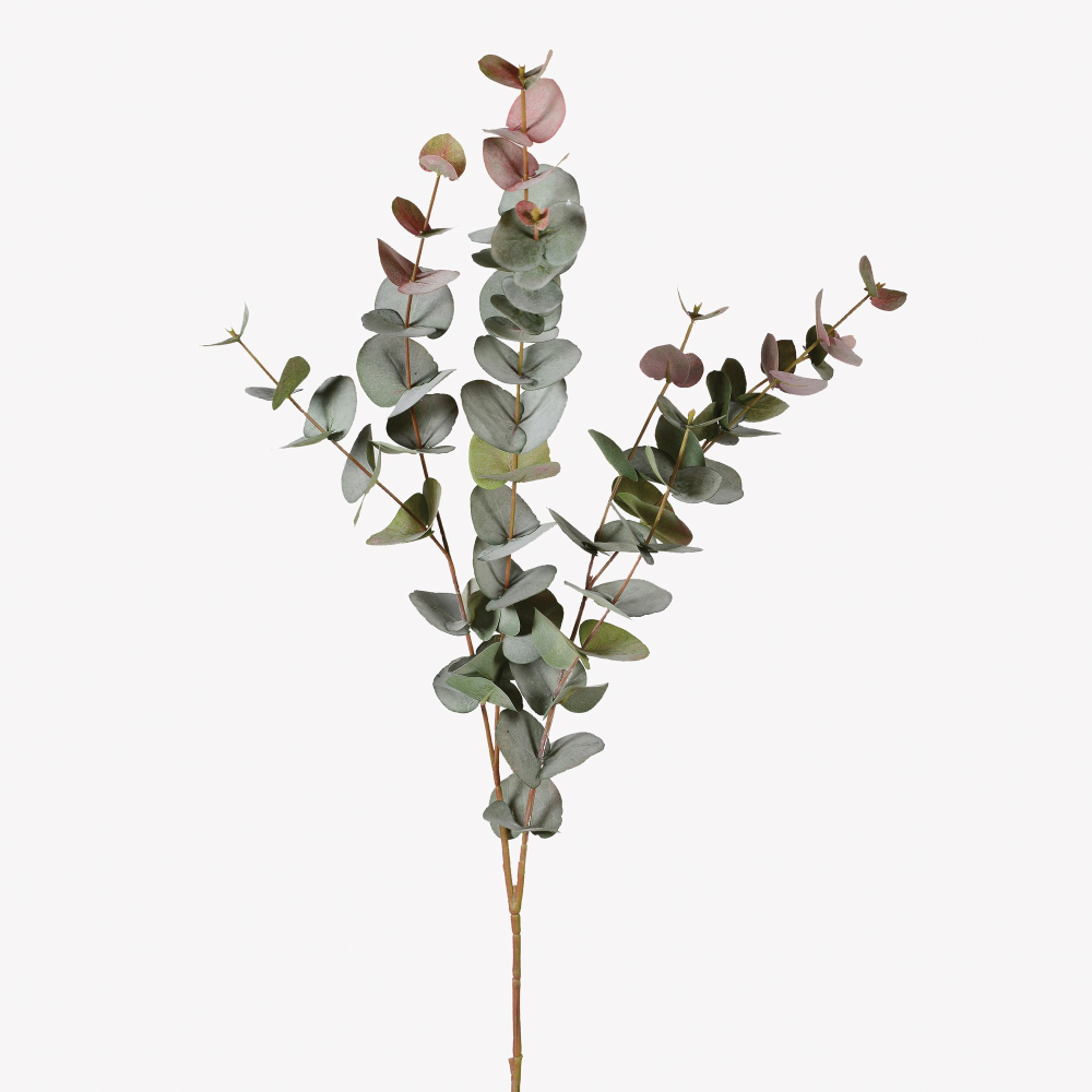 Large natural blush eucalyptus, 100cm-0