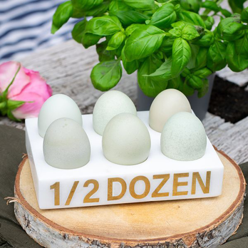 Marble 1/2 Dozen Egg Holder, L17.5 x W12 x H3.5cm, White-0