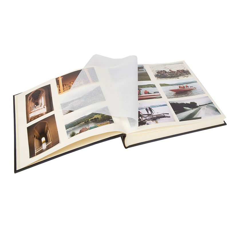 Large Square Lizard Photograph Album, L35.5 x W36.5cm, Pale Blue-1