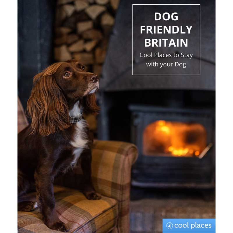 Dog Friendly Britain: Cool Places to Stay with your Dog Book-0