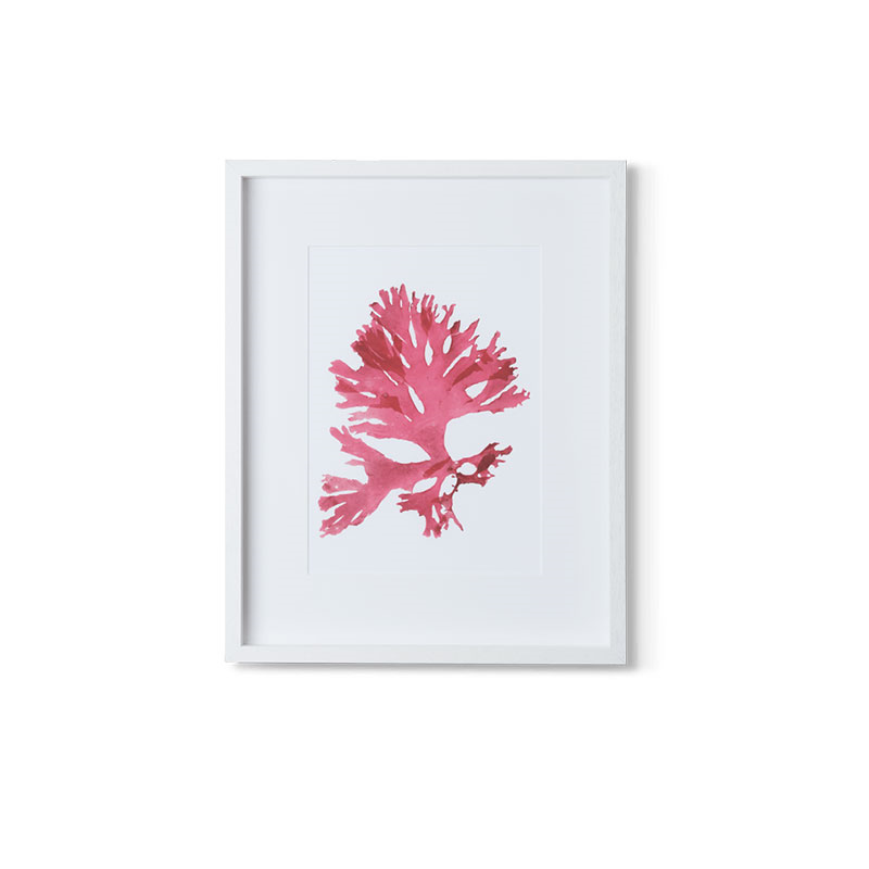 Coastal Beautiful Fanweed Wall Art, Red-1