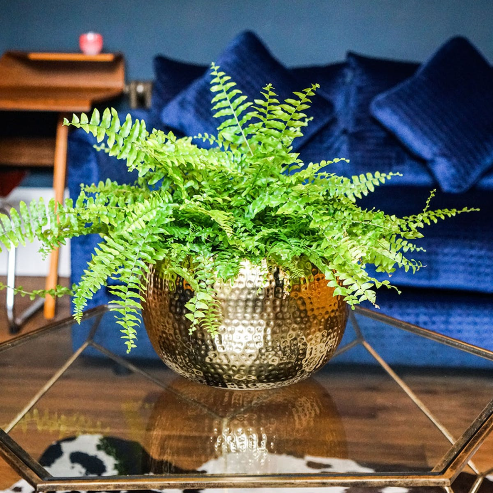 Hammered Bowl planter, H21 x W30 x D30cm, Gold-2