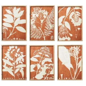 Framed Print, Flora Photogram, Orange, Set of 6-0