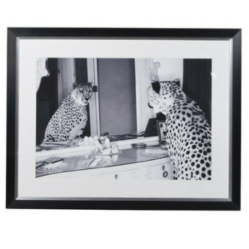 Picture, Double Take, Cheetah, 102cmx 132cm-0