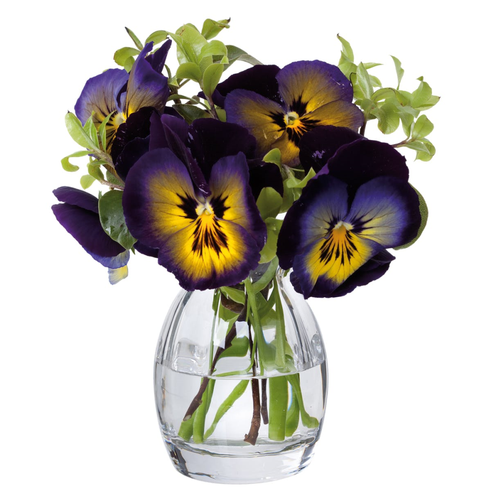 Florabundance Pansy vase, H9.5cm, Clear-0