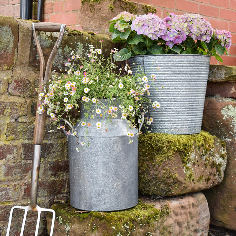 Galvanised Milk Churn, H43cm x D33cm, Silver-1