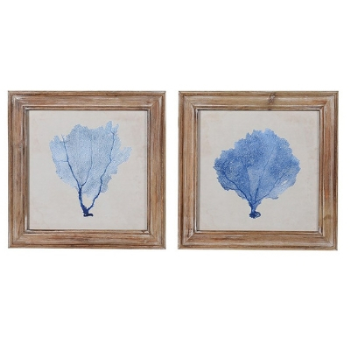 Blue Coral Pictures, Set of 2-0