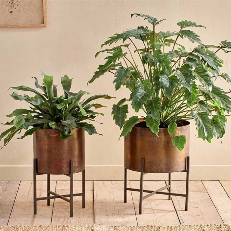 Juoni Iron Planter, H35 x W30 x D30cm, Aged Antique Brass-0