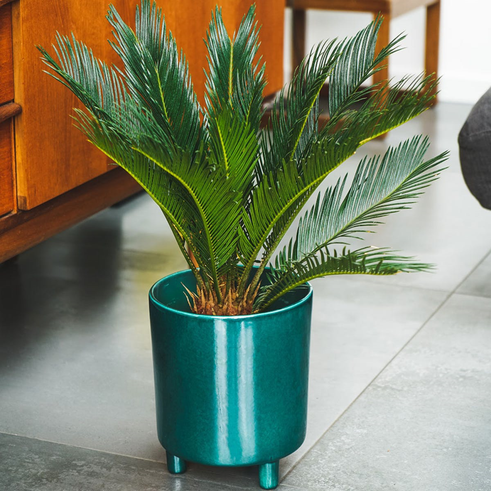 Pisa Planter, H20 x W24 x D24cm, Emerald-1