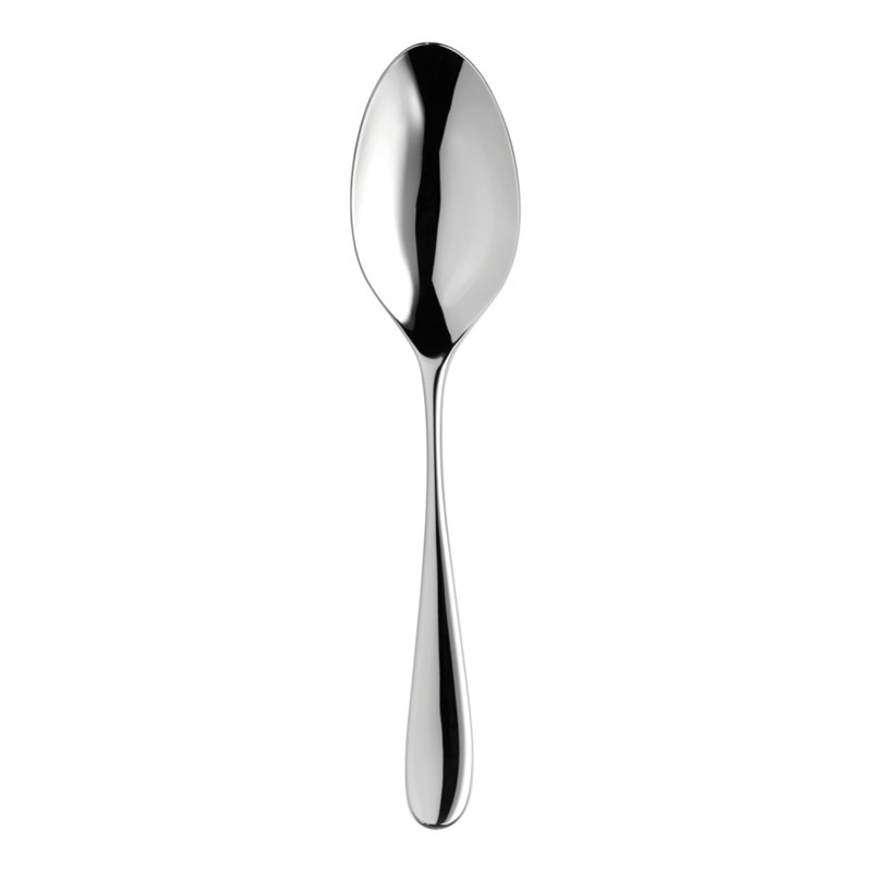 Arden Bright Serving spoon, Stainless Steel-0