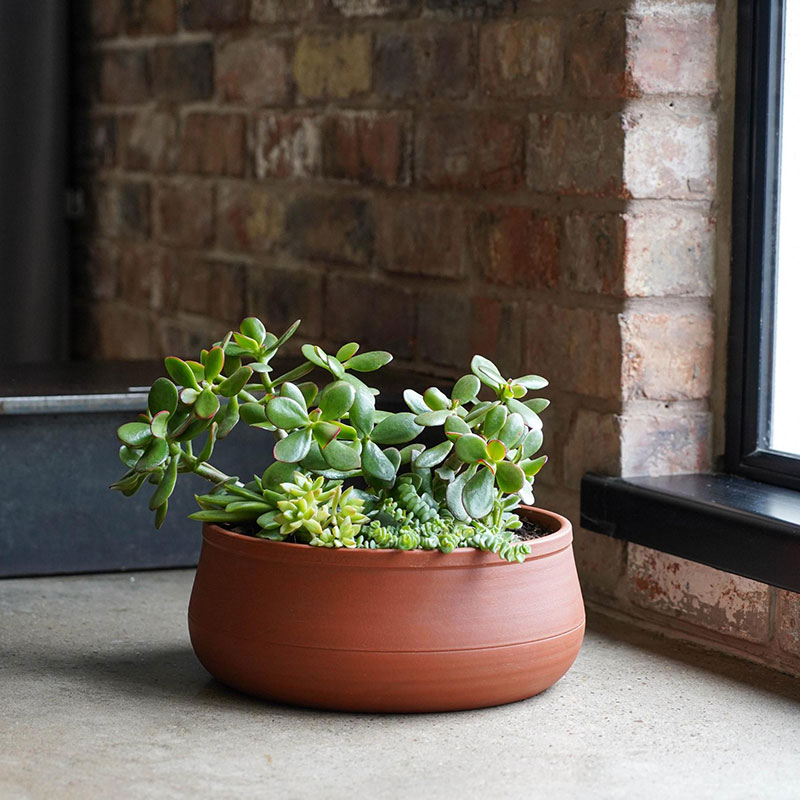 Kew Temperate House Handthrown Statement Bowl, D30cm, Burnt Umber-2