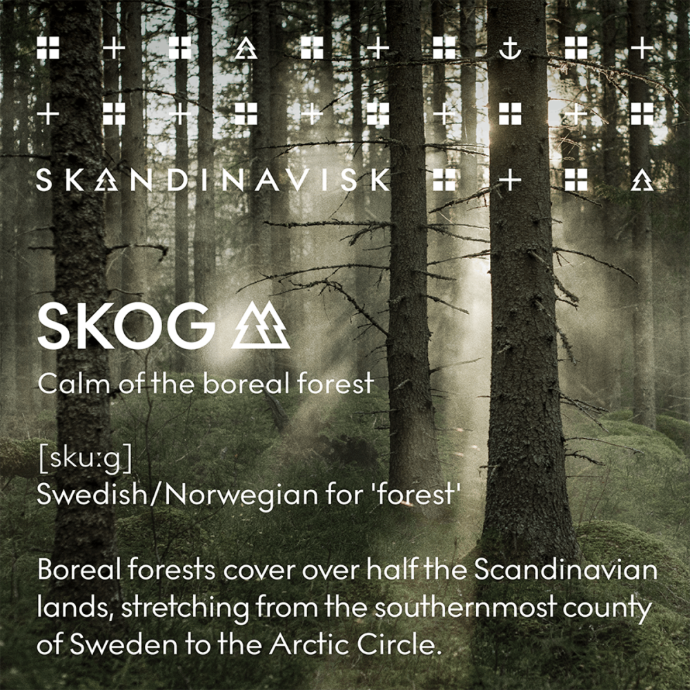 Skog Scented candle, 200g-6