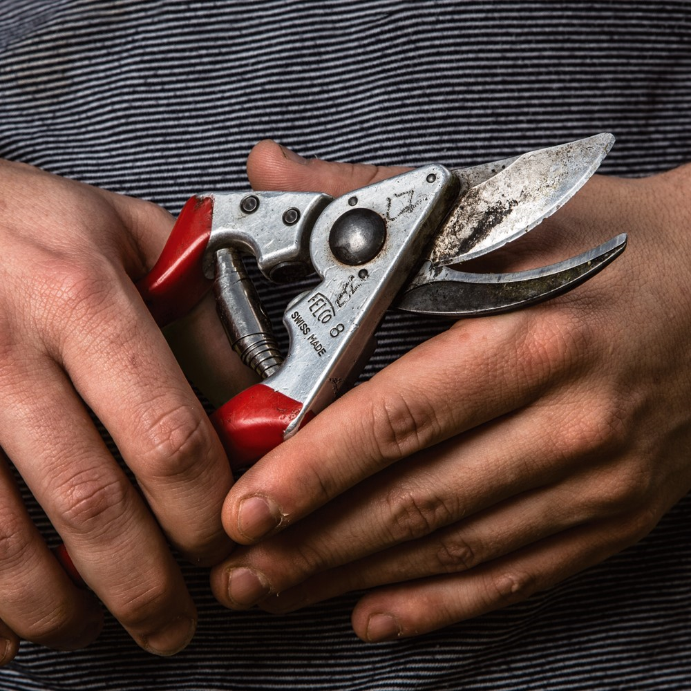 Model 9 Left-handed Secateurs, 21cm, Red/Silver-2