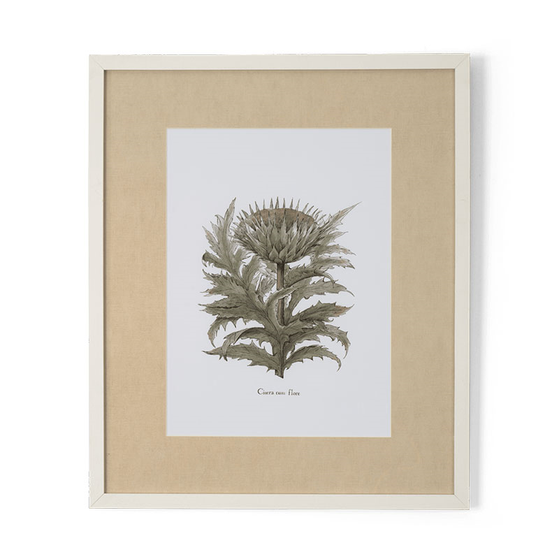 Clipsham Botanical Art, Cinera Cum Flore-0