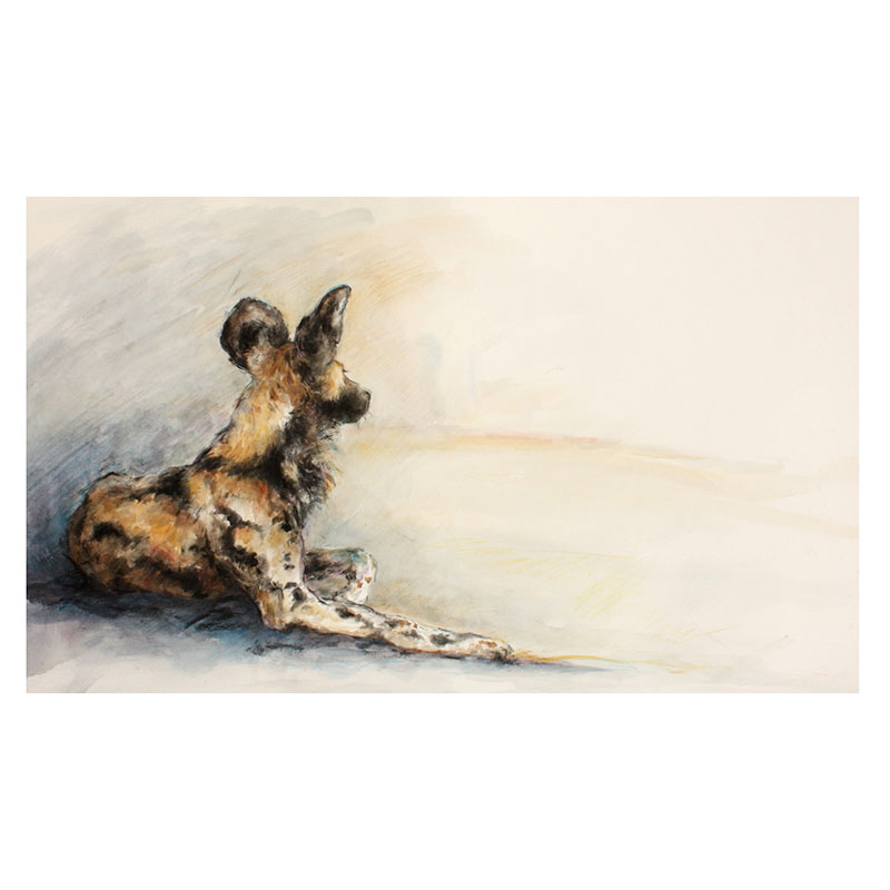 Wild Dog Country Mounted Print-0