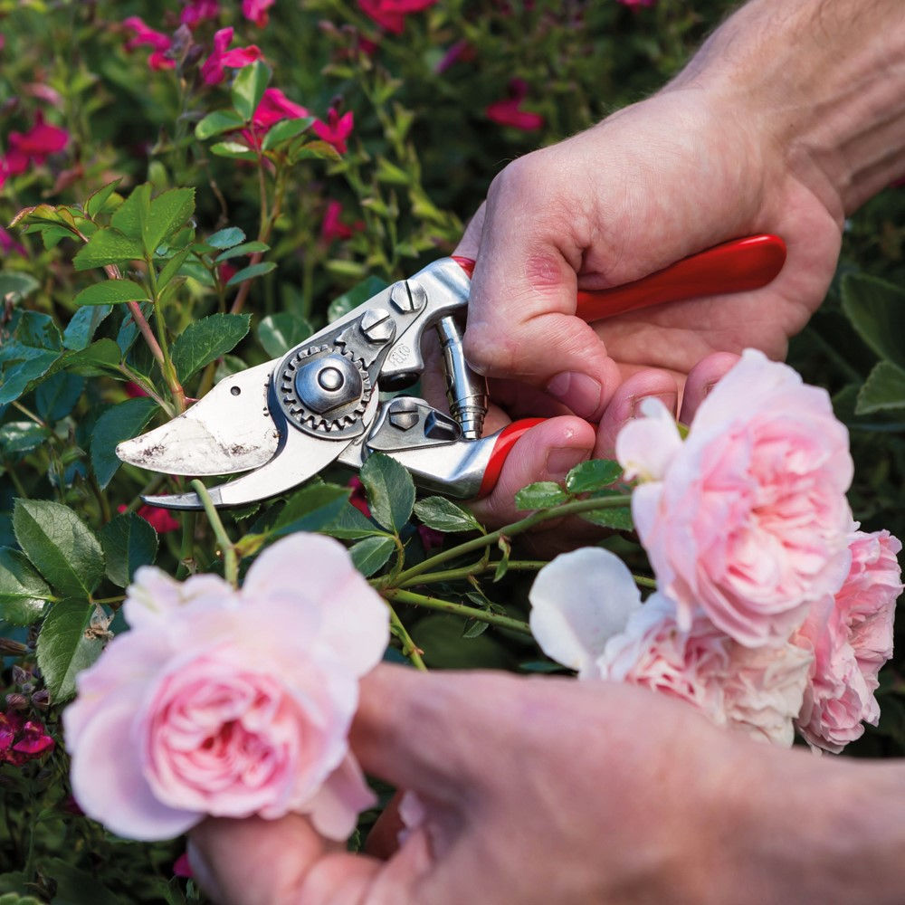 Model 8 Large Secateurs, 18.5cm, Red/Silver-1