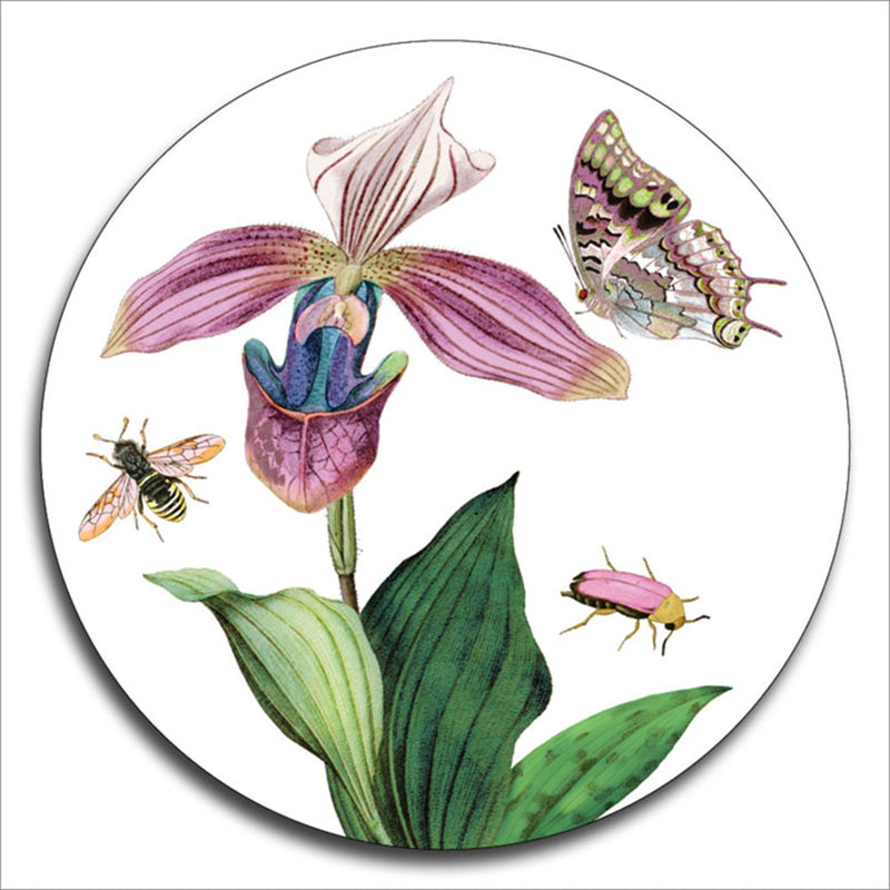 Country Garden Set of 4 Coasters, D10cm, Multi-3