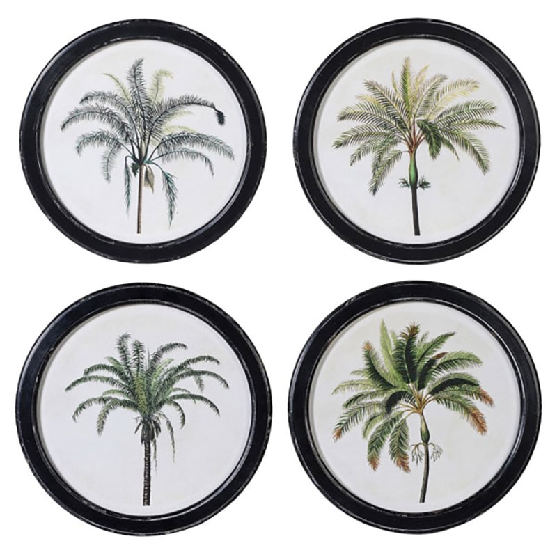 Palm Set of 4 Framed Prints, D35cm-0