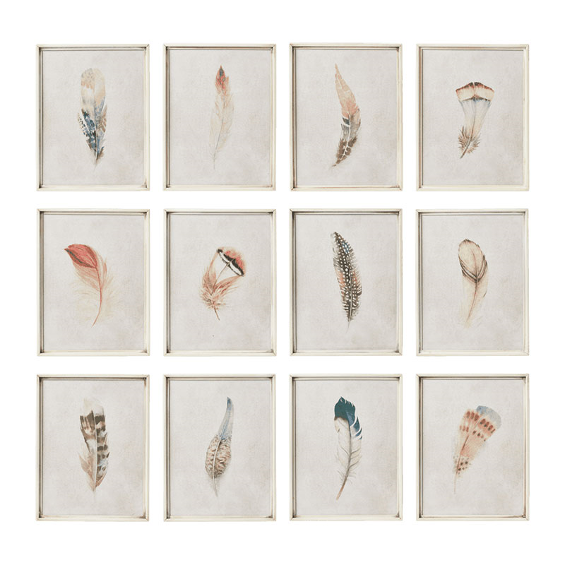 Feather Set of 12 framed prints, H31 x W24cm-0