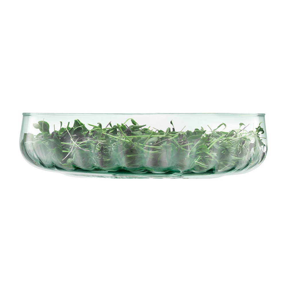 Mia Low Bowl Recycled Part Optic 31cm, Clear-2