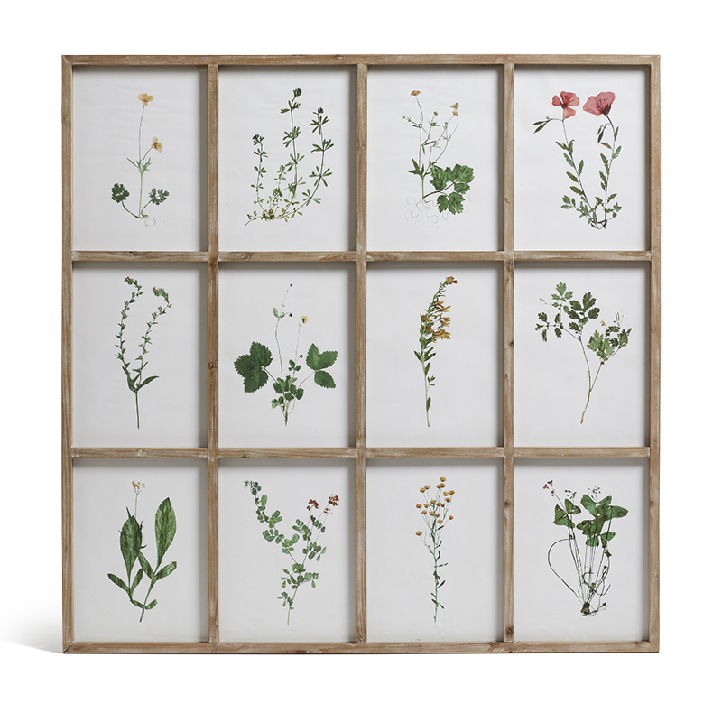 Set of Twelve Framed Pressed Flower Prints, Natural-0