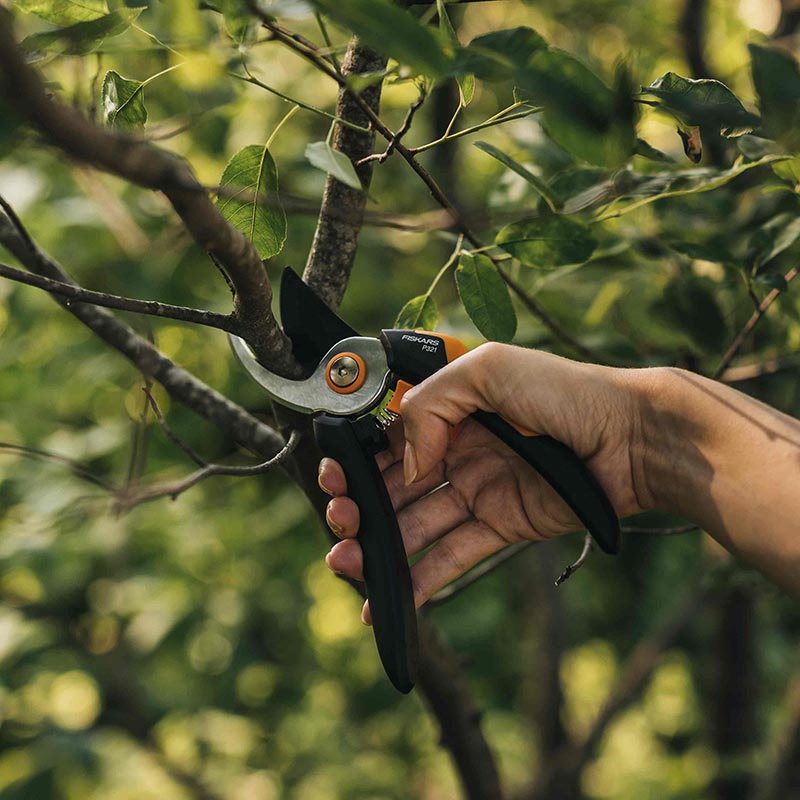 Solid Bypass Pruner Medium P321, Black/Orange/Silver-2