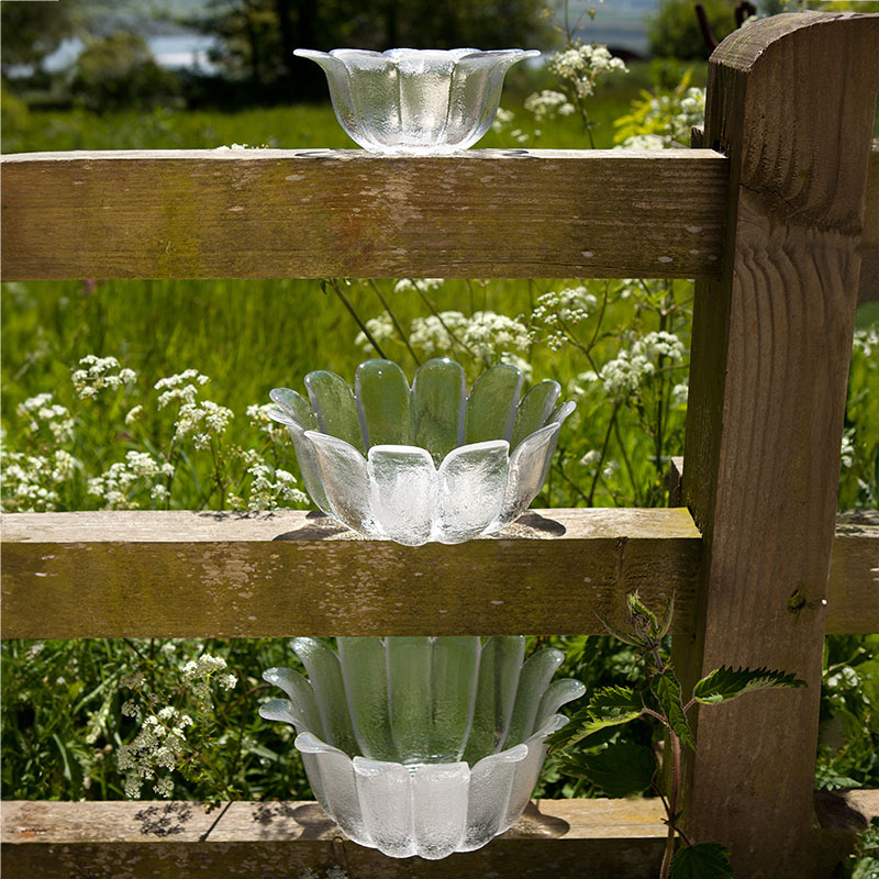 Daisy Bowl, D21.5cm, Clear-7