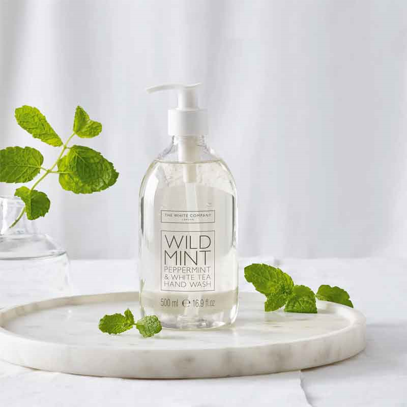 Wild Mint Cleansing Hand Wash, H15 x W7.5 x L7.5cm-0