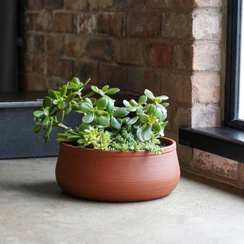 Kew Temperate House Handthrown Statement Bowl, D38cm, Burnt Umber-0