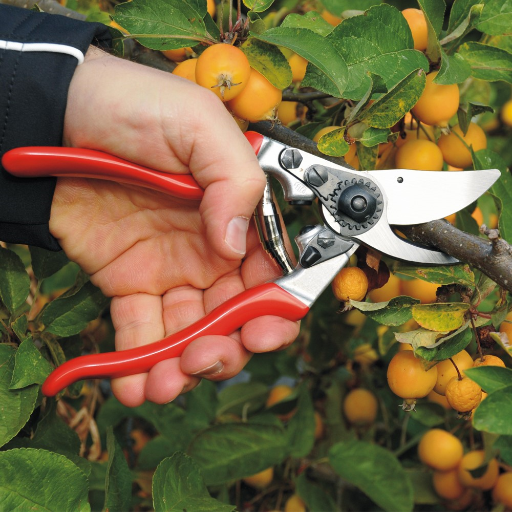 Model 9 Left-handed Secateurs, 21cm, Red/Silver-1