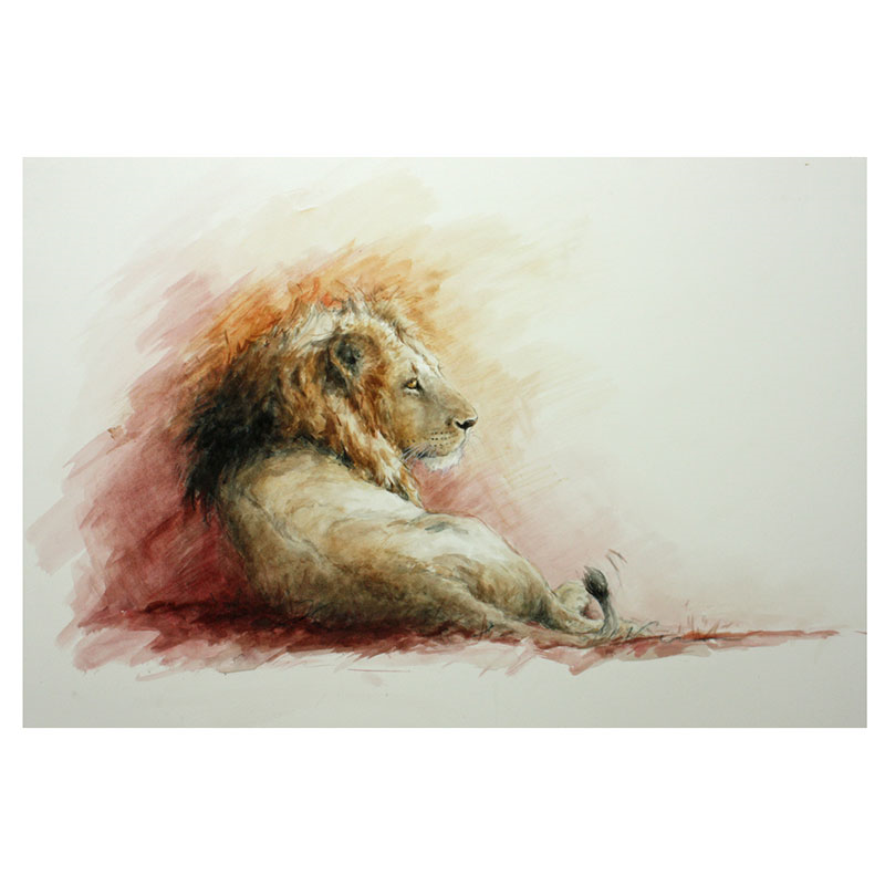 Mara Lion Mounted Print-0