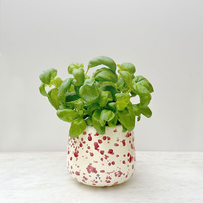 Splatter Indoor Planter, D15 x H13cm, Cranberry-0