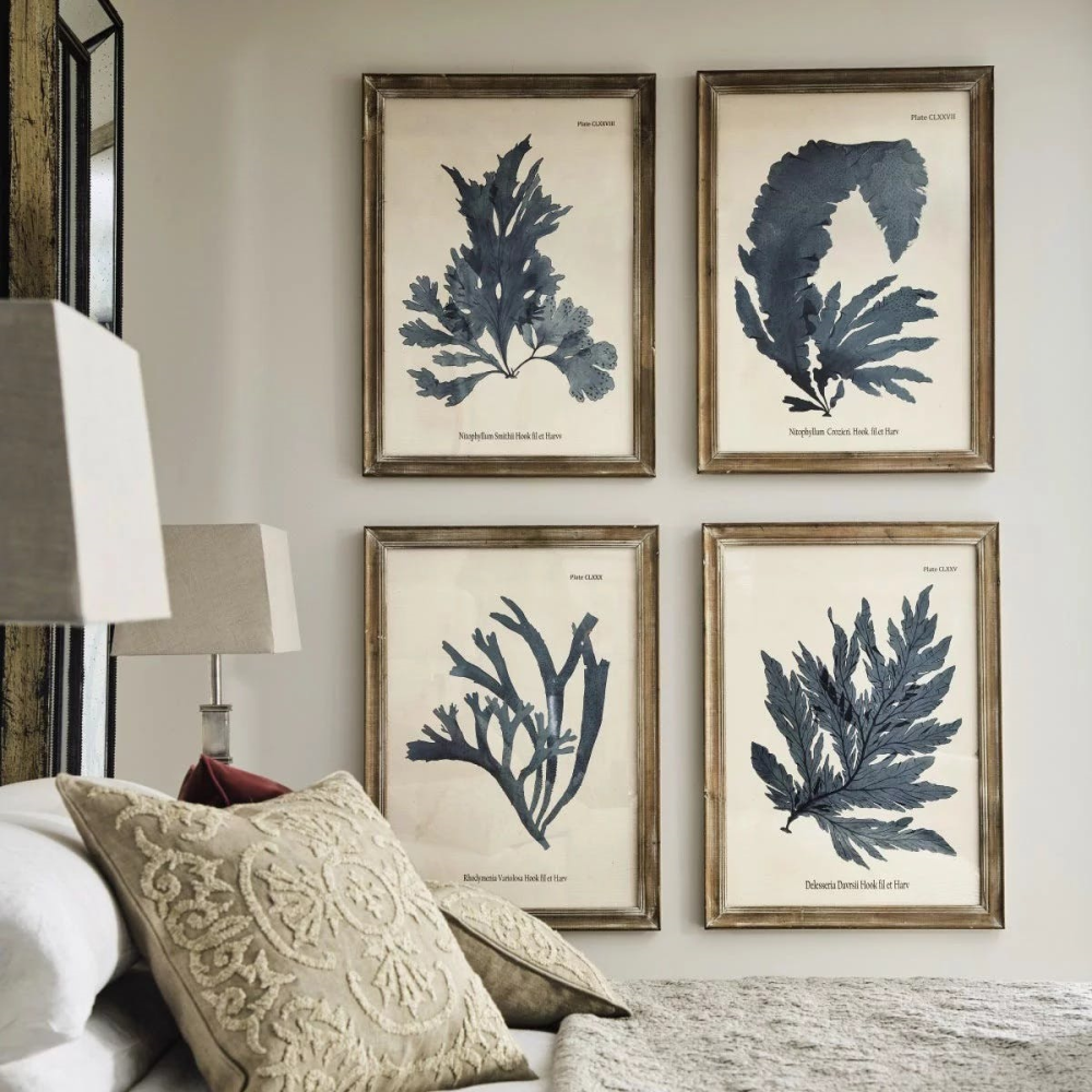 Seaweed Set of 4 framed prints, H61 x W83cm-0