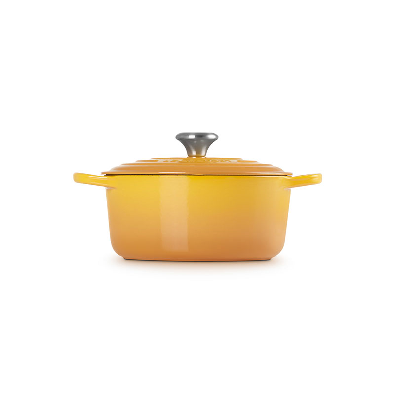 Signature Cast Iron Round Casserole, 24cm, Nectar-1