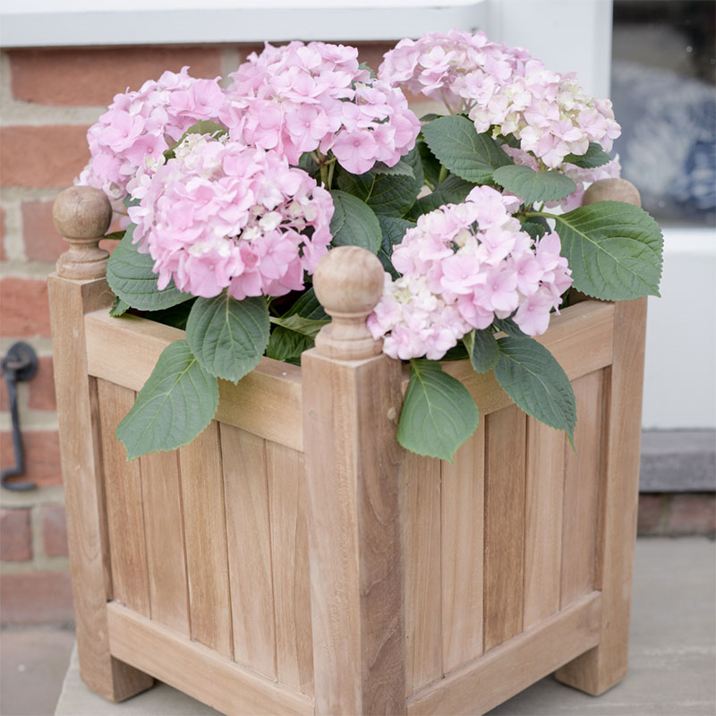 Square Planter, 55cm-3