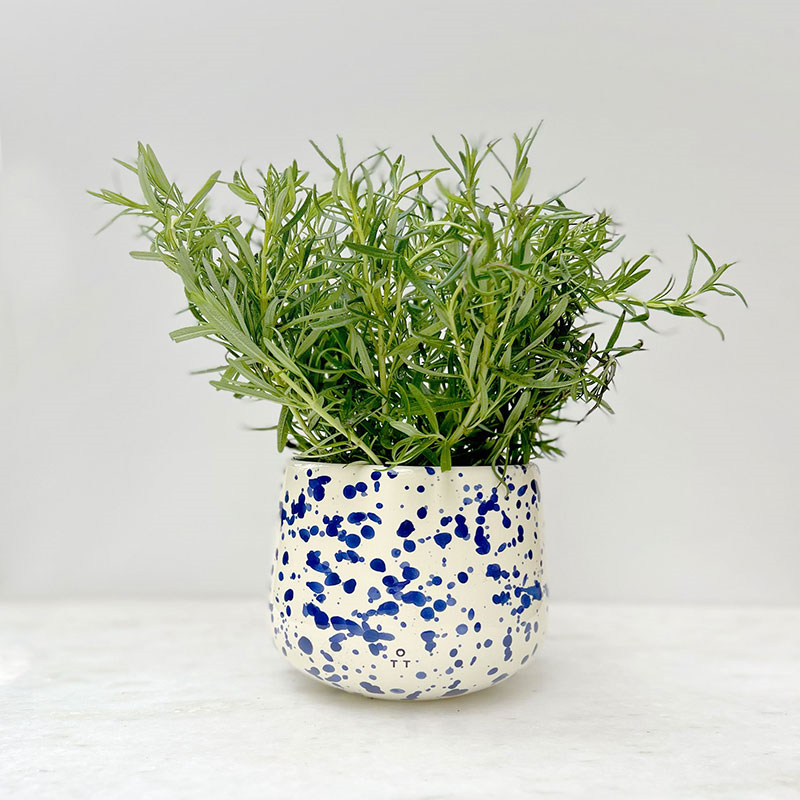 Splatter Indoor Planter, D15 x H13cm, Blueberry-0