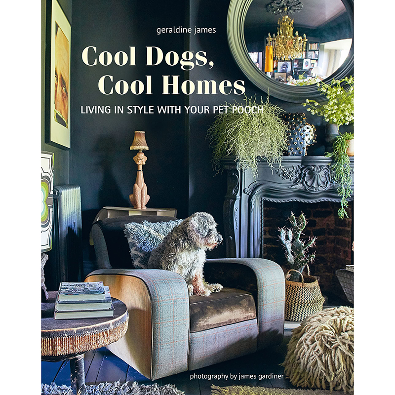 Cool Dogs, Cool Home Living In Style With Your Pet Pooch-0