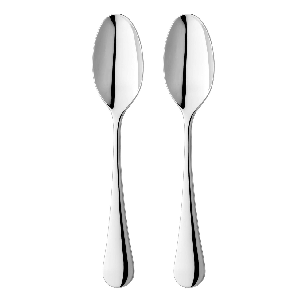 Royal Oak 2 piece serving spoon set, Stainless Steel-0