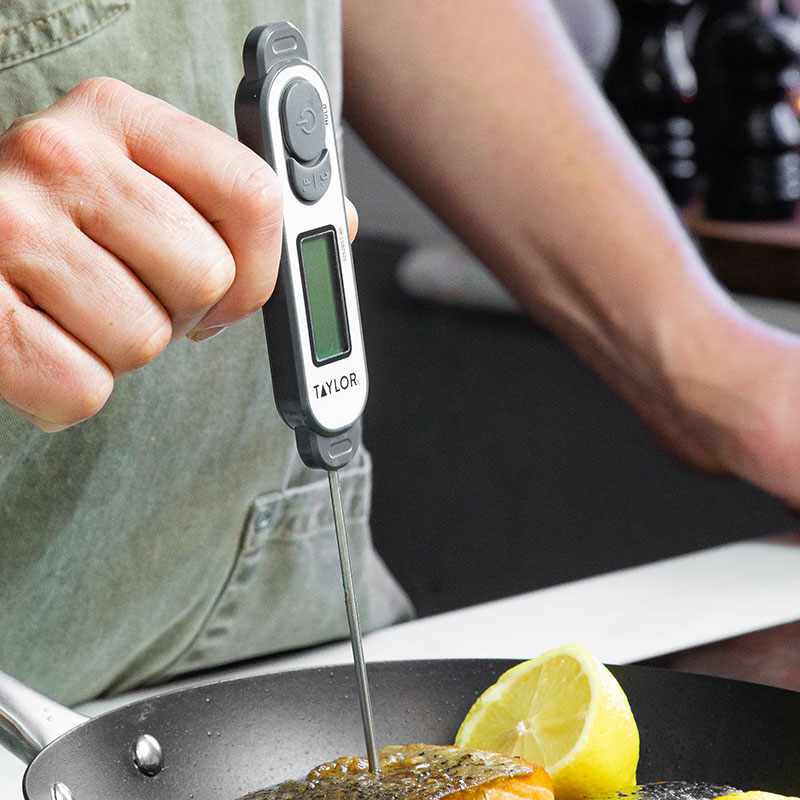 Digital Waterproof Precision Thermometer, Silver-0