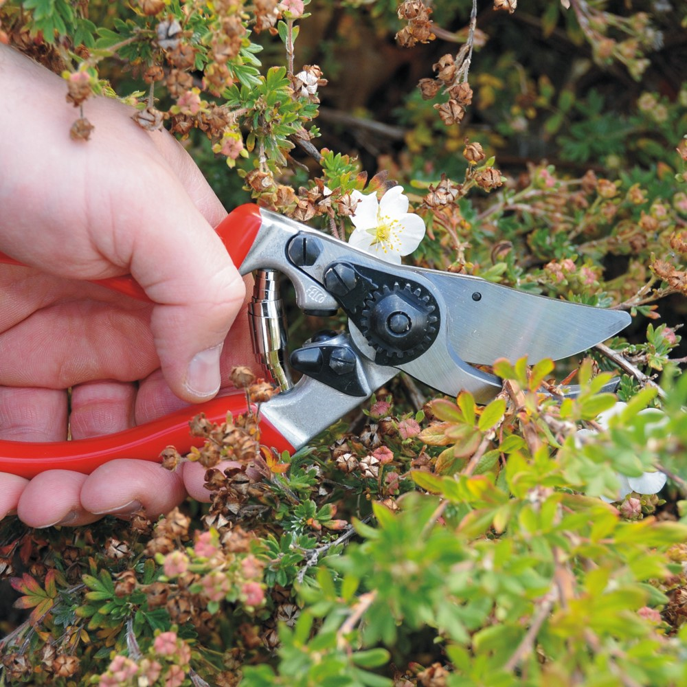 Model 8 Large Secateurs, 18.5cm, Red/Silver-2