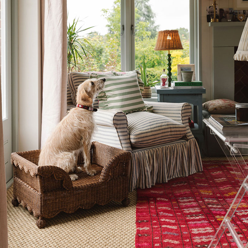 Ziggy Scalloped Rattan Dog Bed, Teak-4